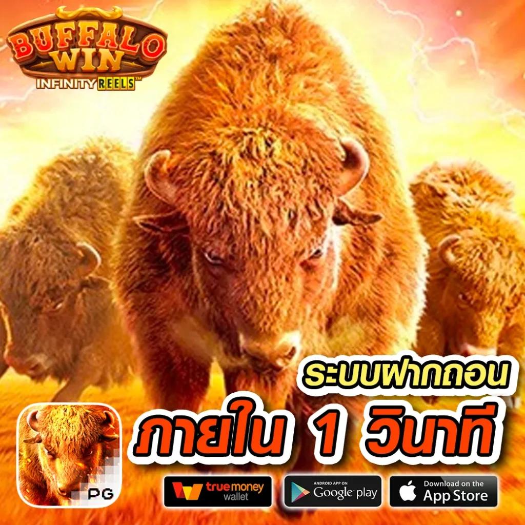 ak47max เว็บตรง สล็อต ฝากถอนออโต้ ไม่ผ่านเอเย่นต์ 2026